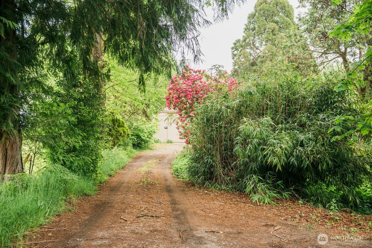 10379 Bethel Burley Road Southeast Port Orchard, WA 98367 - Photo 33 of 40 a close up of a plant in a garden