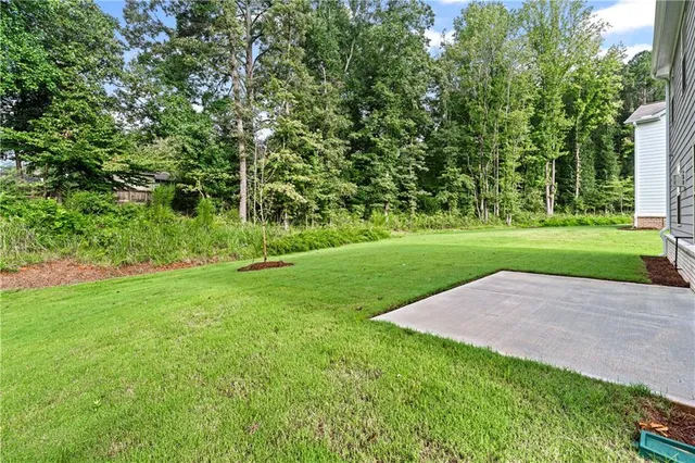 a view of a backyard with plants and a garden