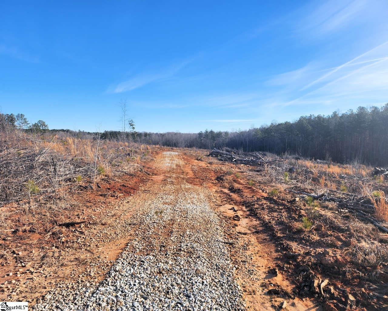 Elledge Road Ware Shoals, SC 29692 - Photo 12 of 38