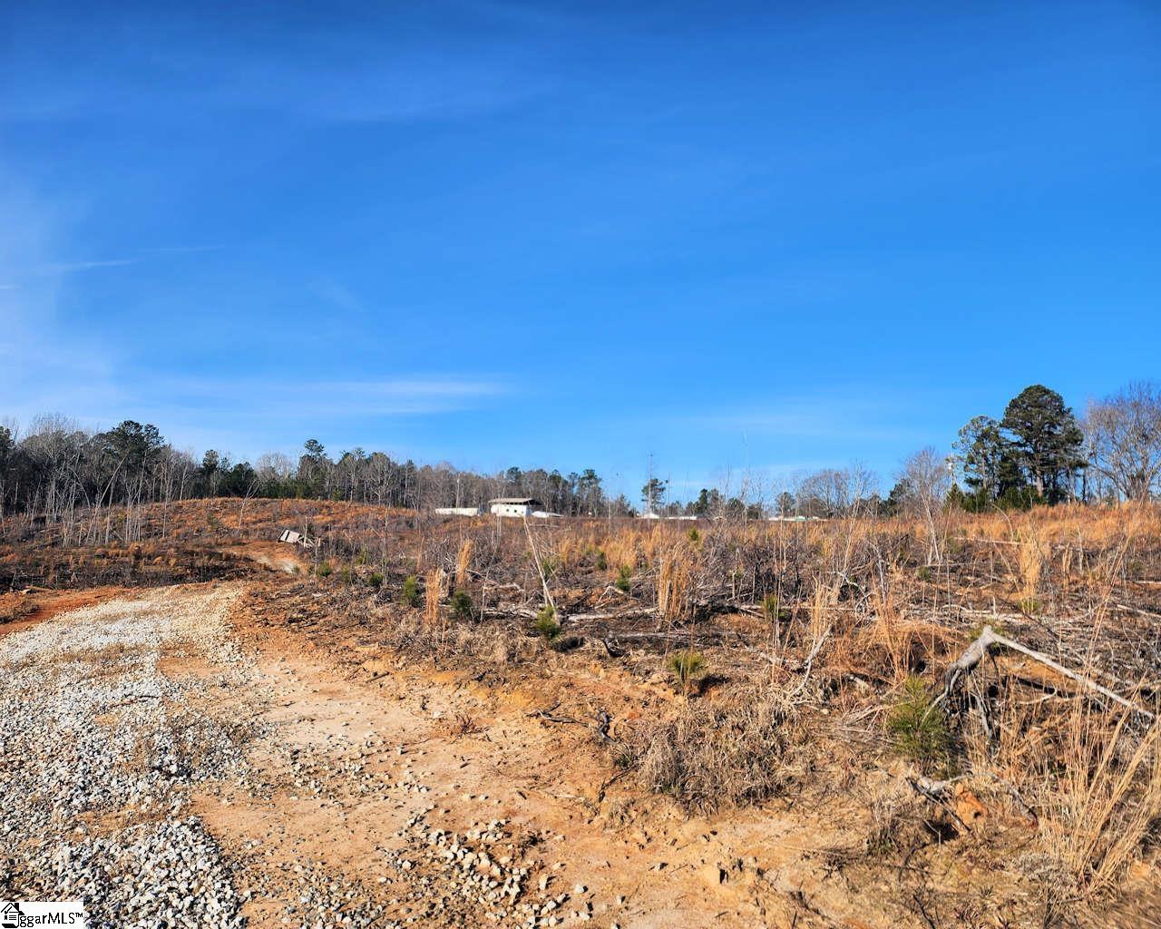 Elledge Road Ware Shoals, SC 29692 - Photo 13 of 38