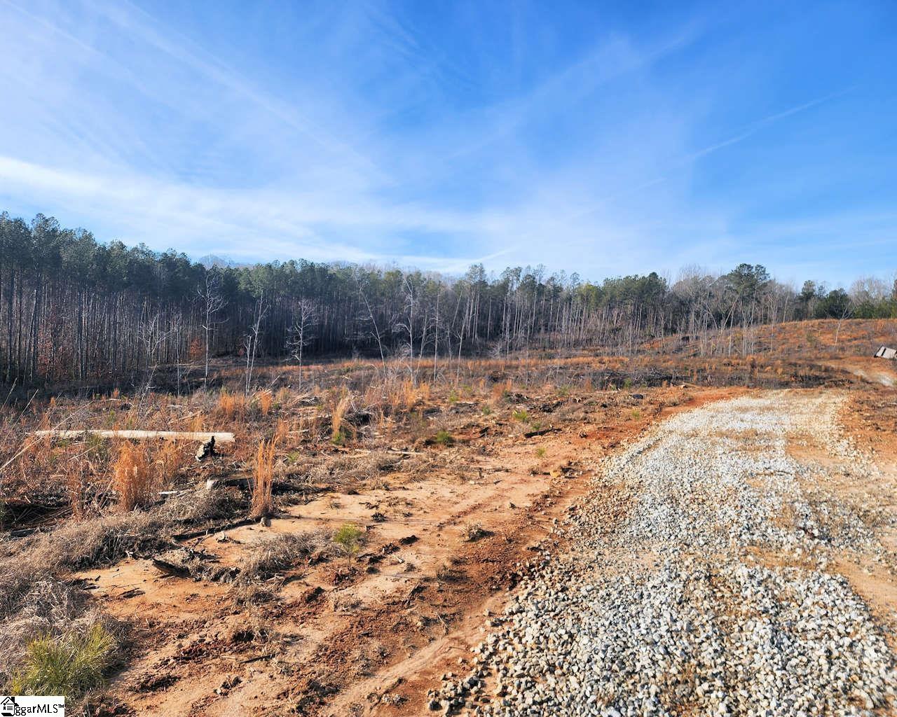 Elledge Road Ware Shoals, SC 29692 - Photo 15 of 38