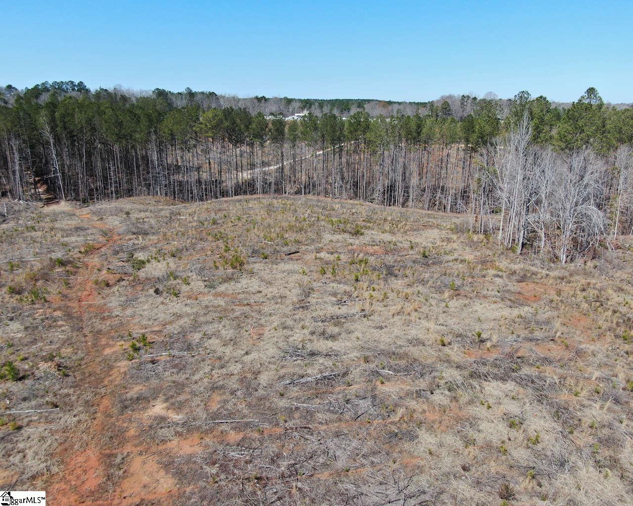 Elledge Road Ware Shoals, SC 29692 - Photo 2 of 38