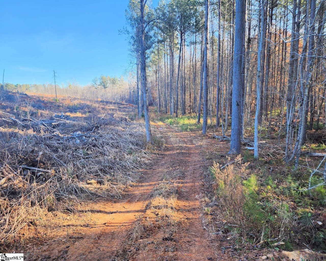 Elledge Road Ware Shoals, SC 29692 - Photo 21 of 38