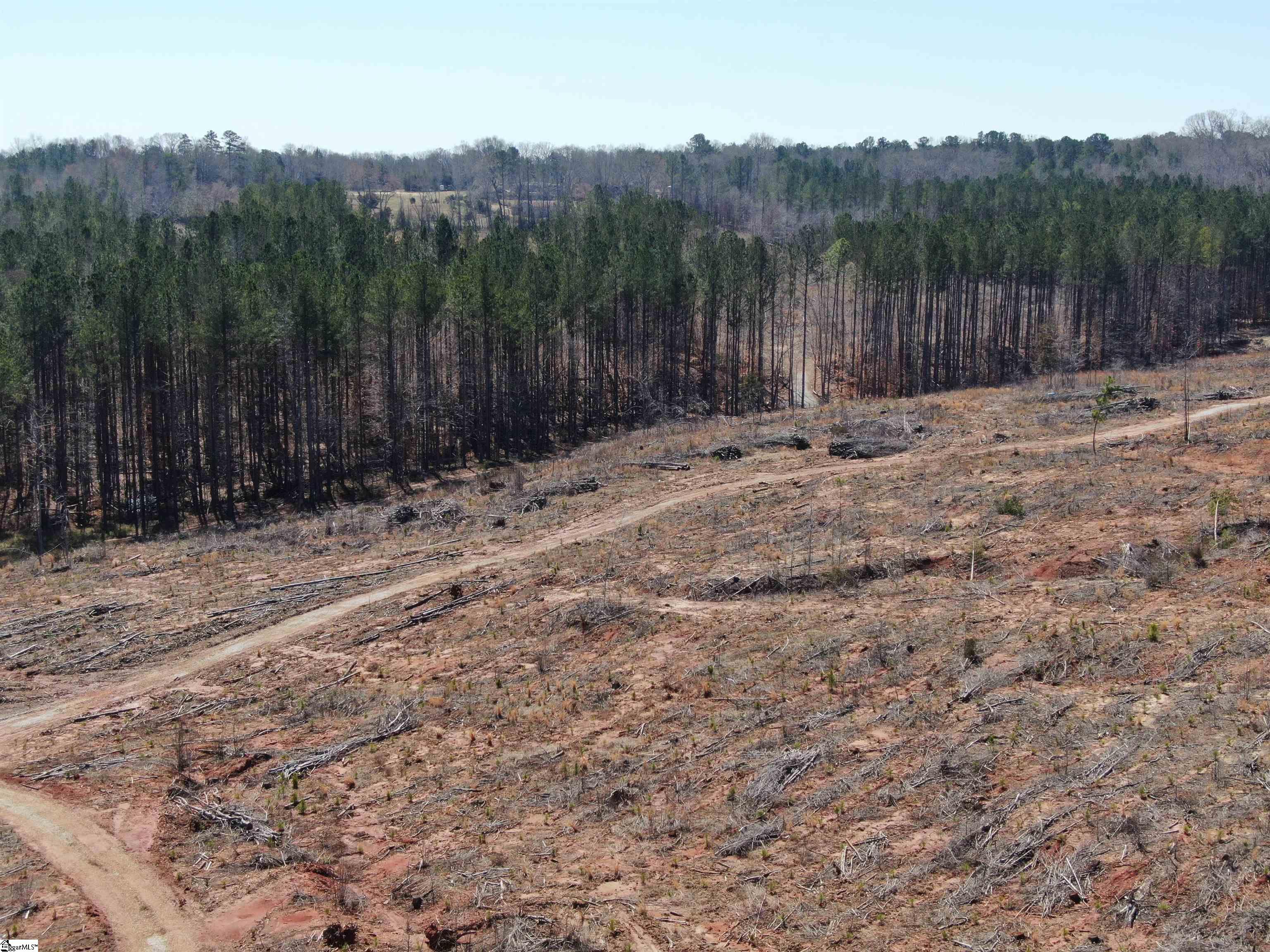 Elledge Road Ware Shoals, SC 29692 - Photo 22 of 38
