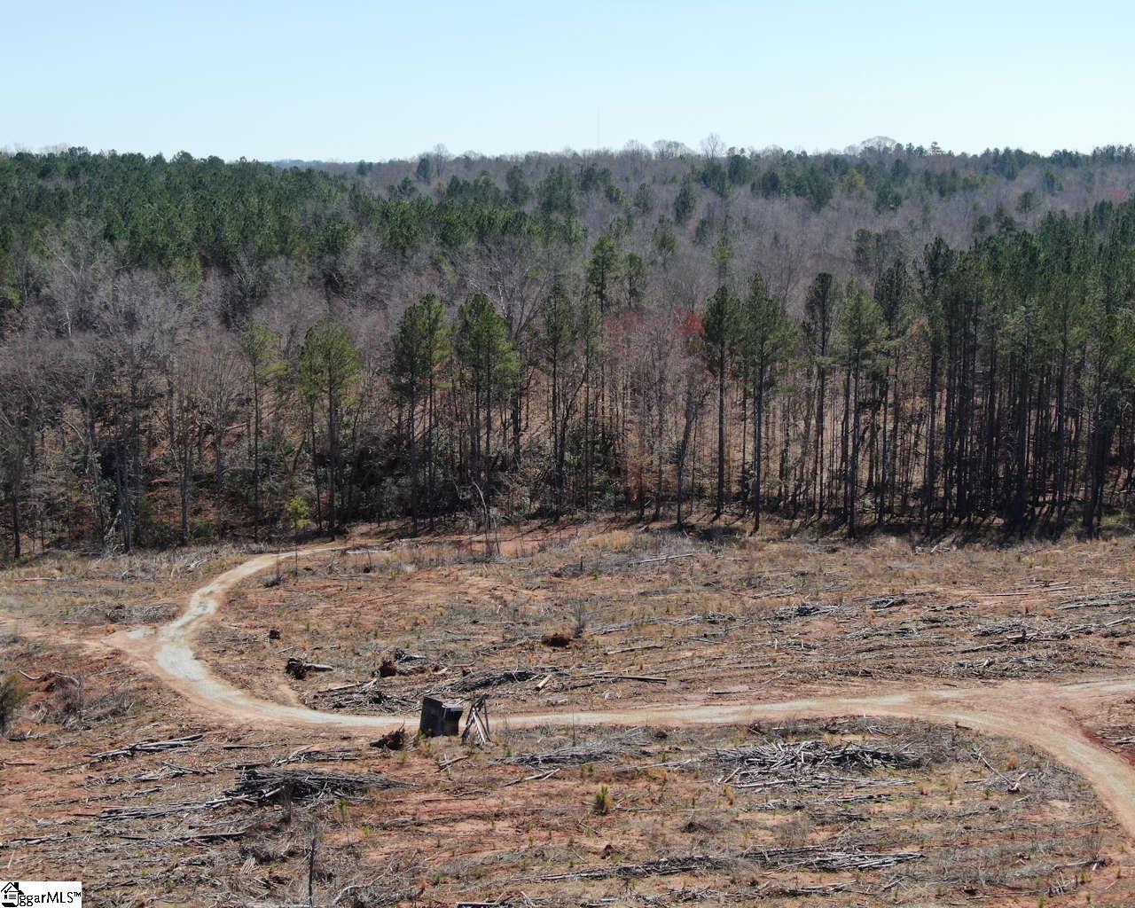Elledge Road Ware Shoals, SC 29692 - Photo 23 of 38