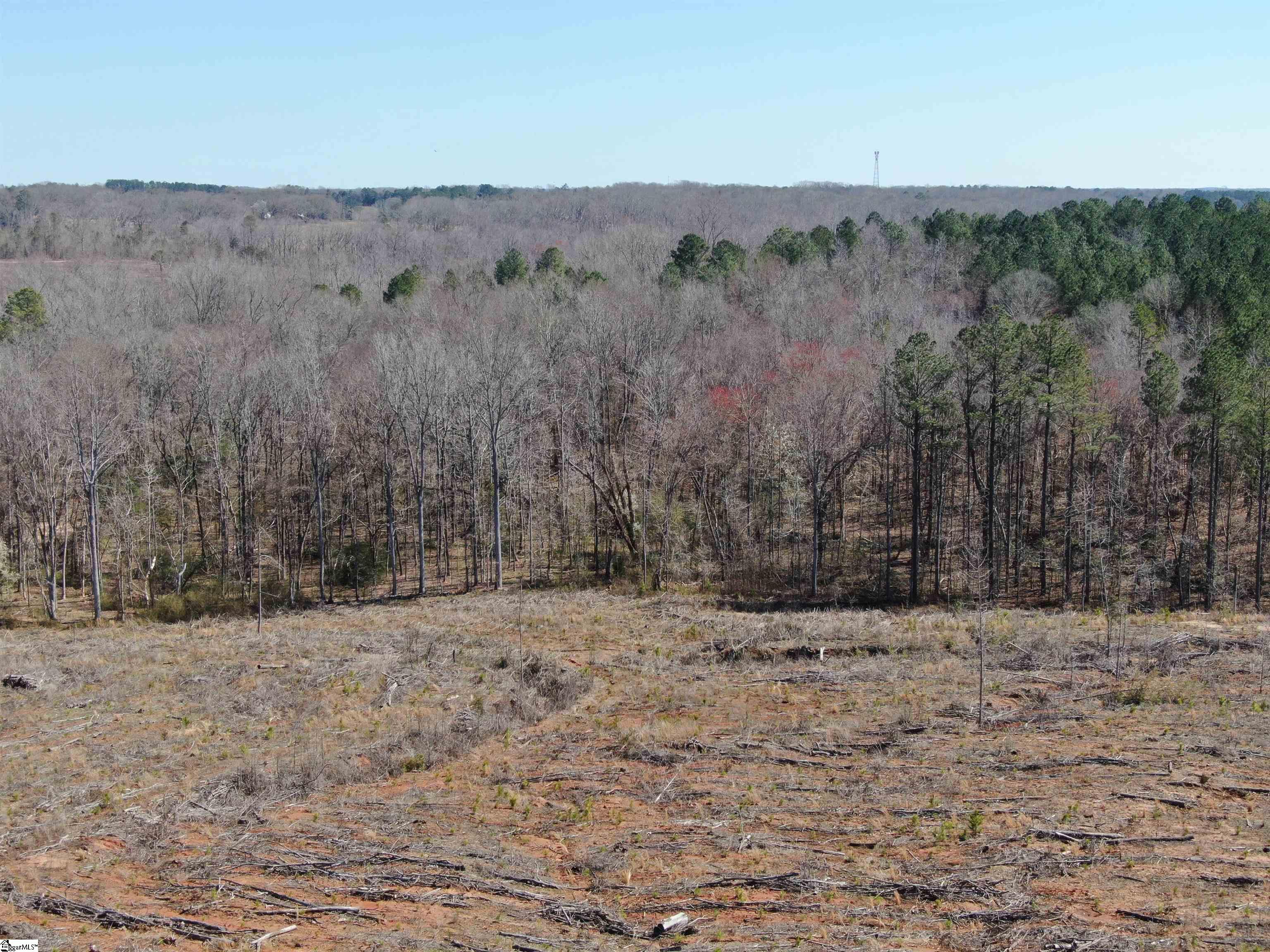 Elledge Road Ware Shoals, SC 29692 - Photo 24 of 38