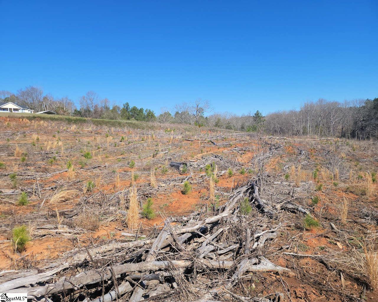 Elledge Road Ware Shoals, SC 29692 - Photo 29 of 38
