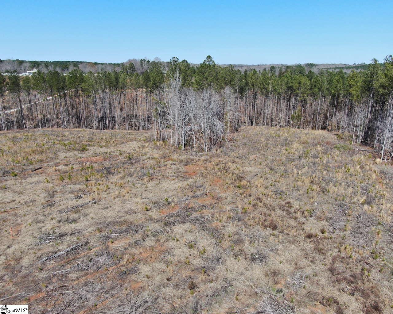 Elledge Road Ware Shoals, SC 29692 - Photo 3 of 38