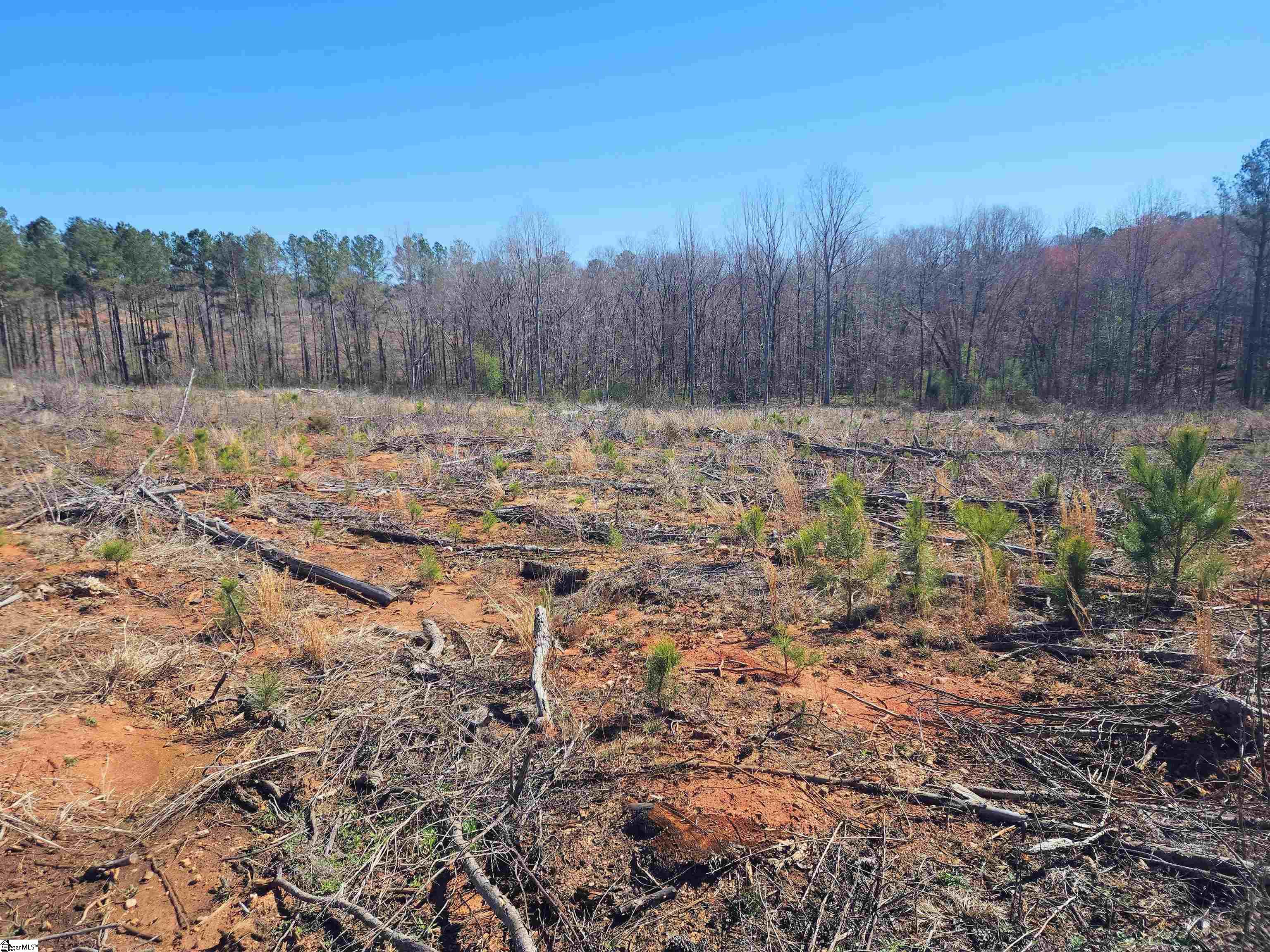 Elledge Road Ware Shoals, SC 29692 - Photo 31 of 38