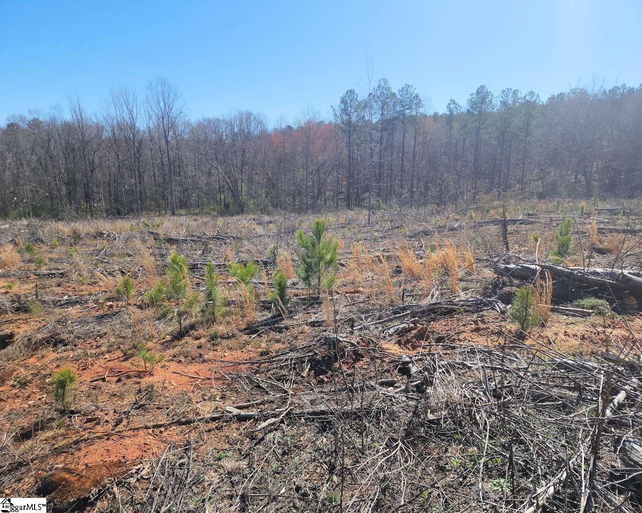 Elledge Road Ware Shoals, SC 29692 - Photo 32 of 38