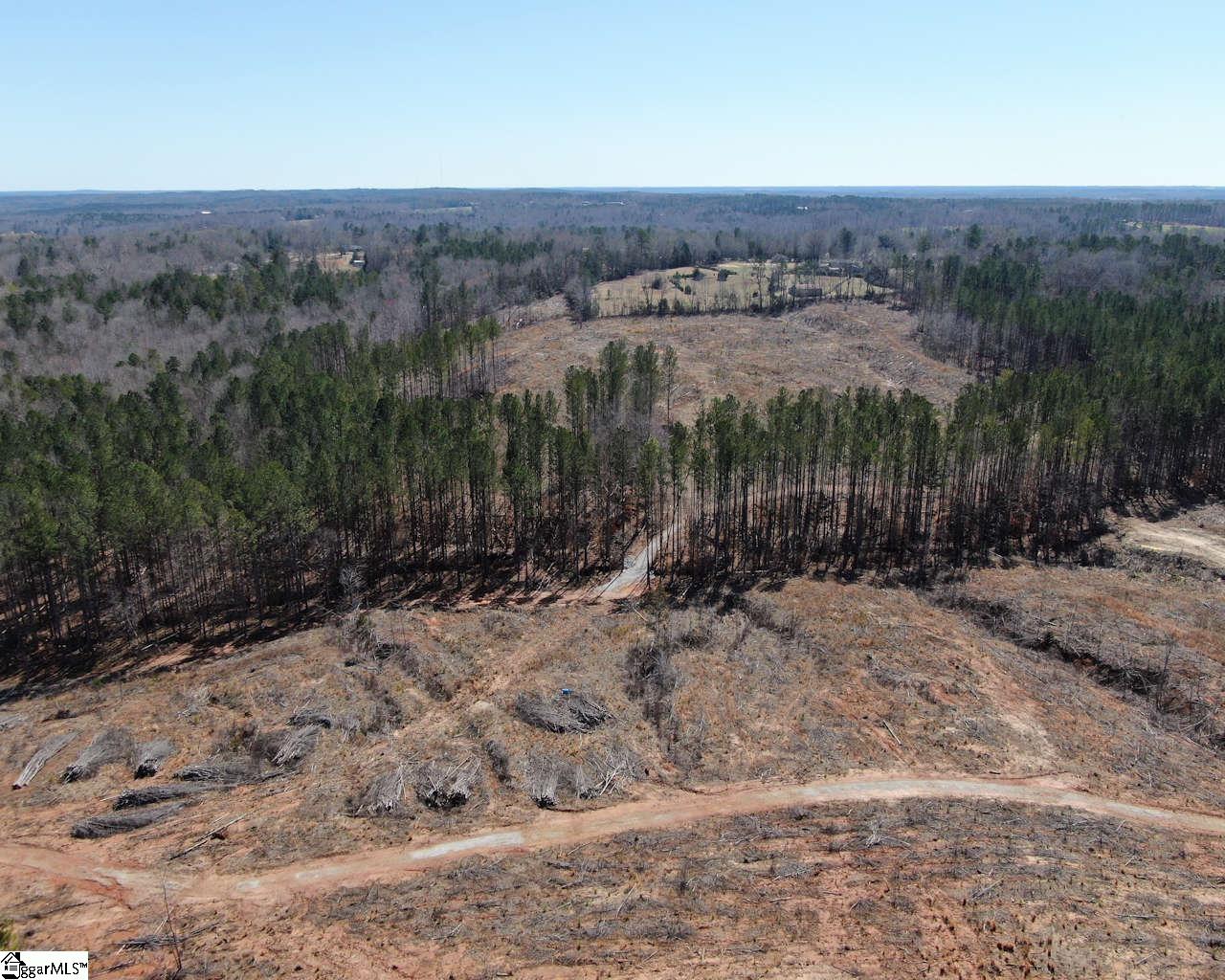 Elledge Road Ware Shoals, SC 29692 - Photo 5 of 38