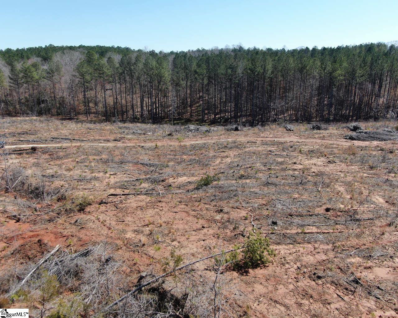 Elledge Road Ware Shoals, SC 29692 - Photo 6 of 38