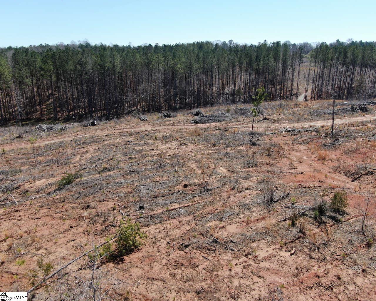 Elledge Road Ware Shoals, SC 29692 - Photo 7 of 38