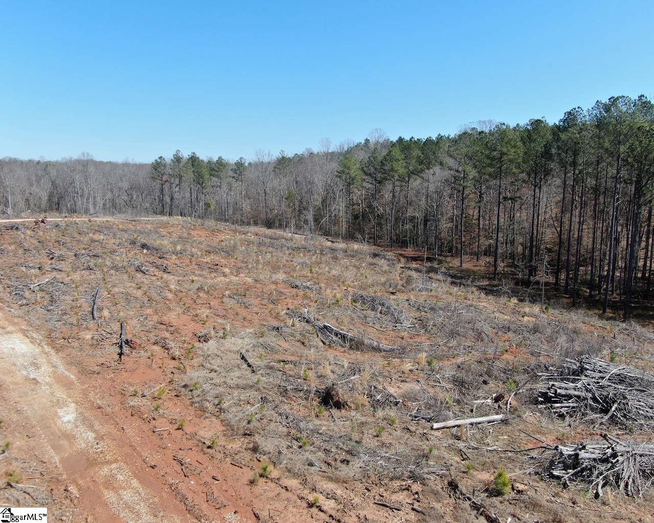 Elledge Road Ware Shoals, SC 29692 - Photo 8 of 38