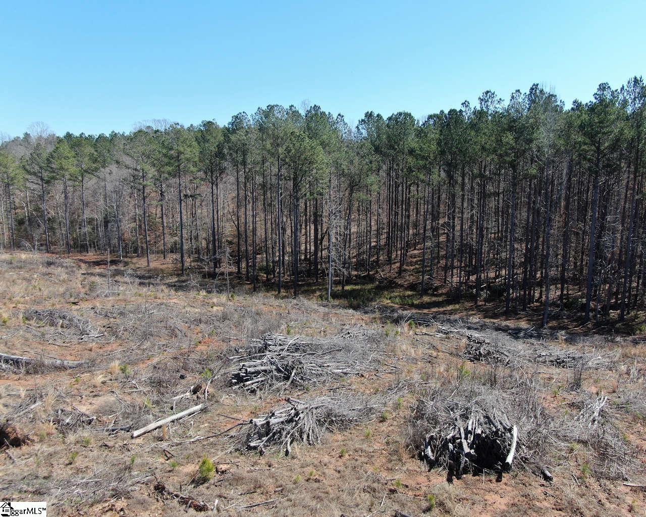 Elledge Road Ware Shoals, SC 29692 - Photo 9 of 38