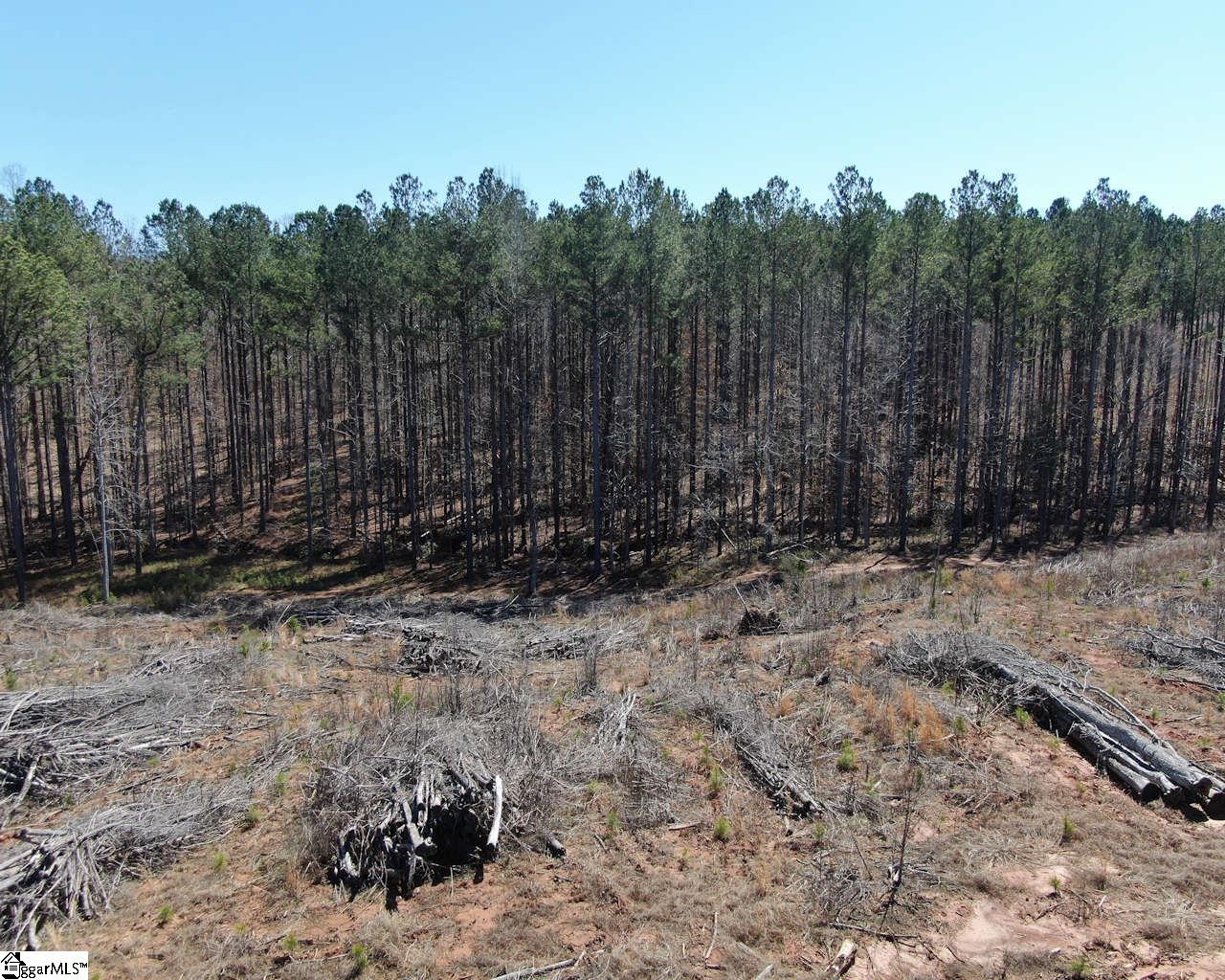 Elledge Road Ware Shoals, SC 29692 - Photo 10 of 38