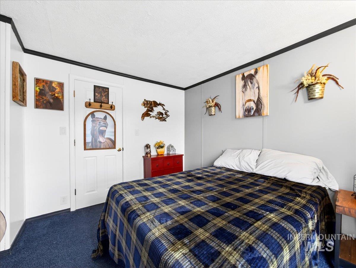 9228 Washoe Road Payette, ID 83661 - Photo 27 of 49 Bedroom with dark colored carpet, crown molding, and a textured ceiling