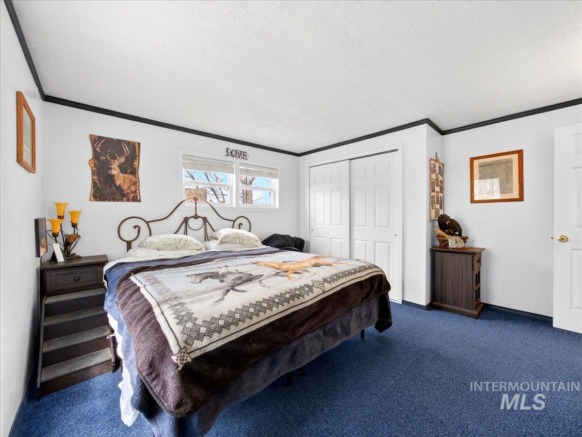 9228 Washoe Road Payette, ID 83661 - Photo 30 of 49 Bedroom featuring carpet floors, ornamental molding, a closet, and a textured ceiling