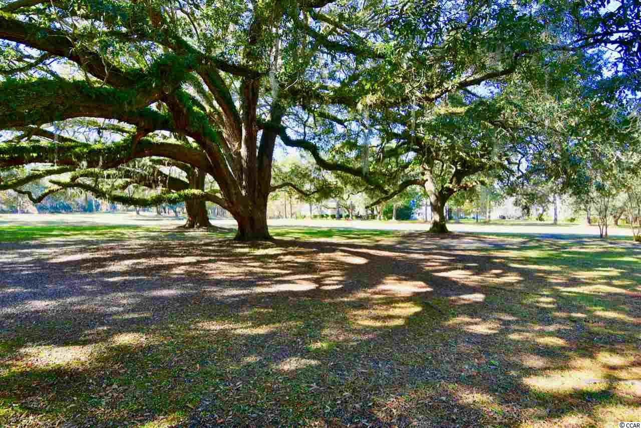 176 Wedgefield Village Road, Unit 17E2 Georgetown, SC 29440 - Photo 31 of 33 Gallery Image 31