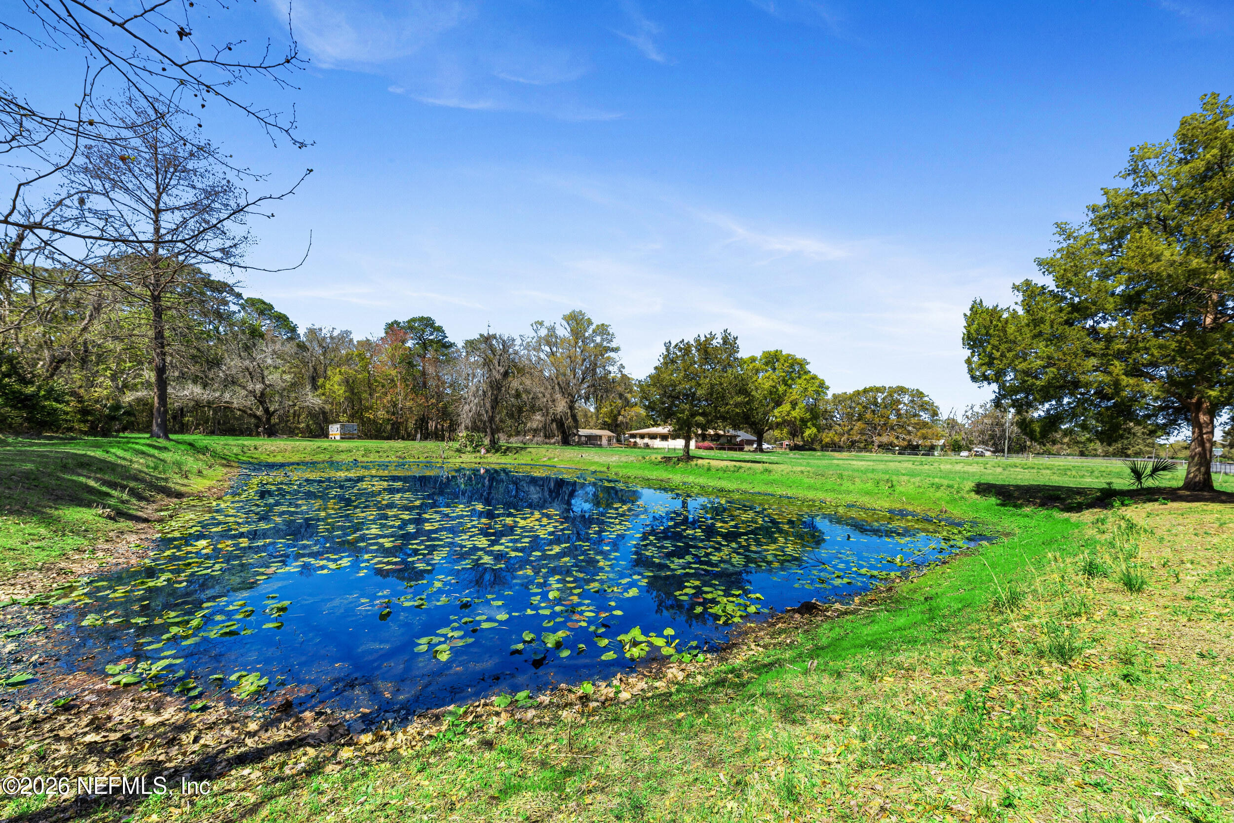 9630 Old Plank Road Jacksonville, FL 32220 - Photo 26 of 30 Pond and Fish