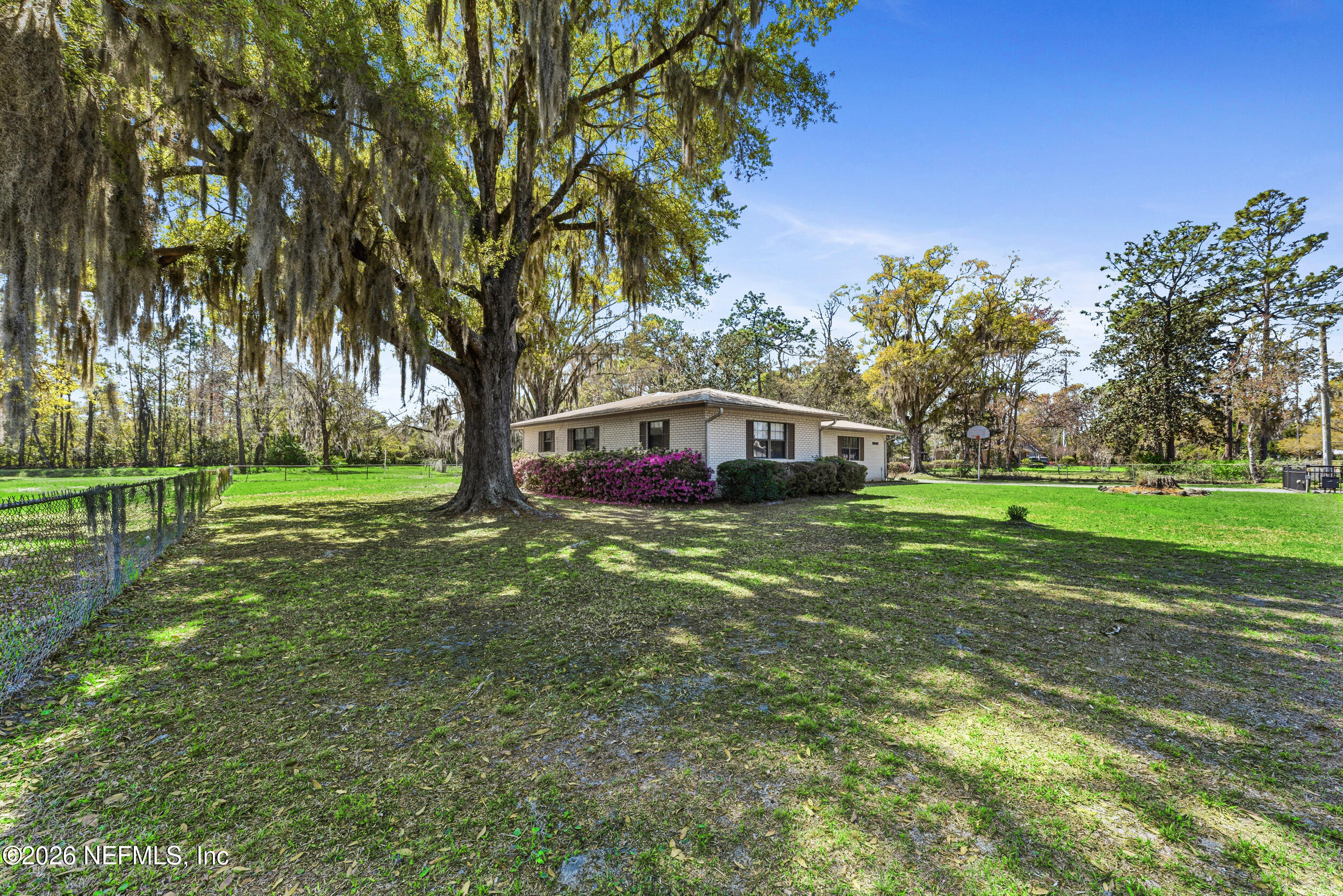 9630 Old Plank Road Jacksonville, FL 32220 - Photo 5 of 30 Yard view
