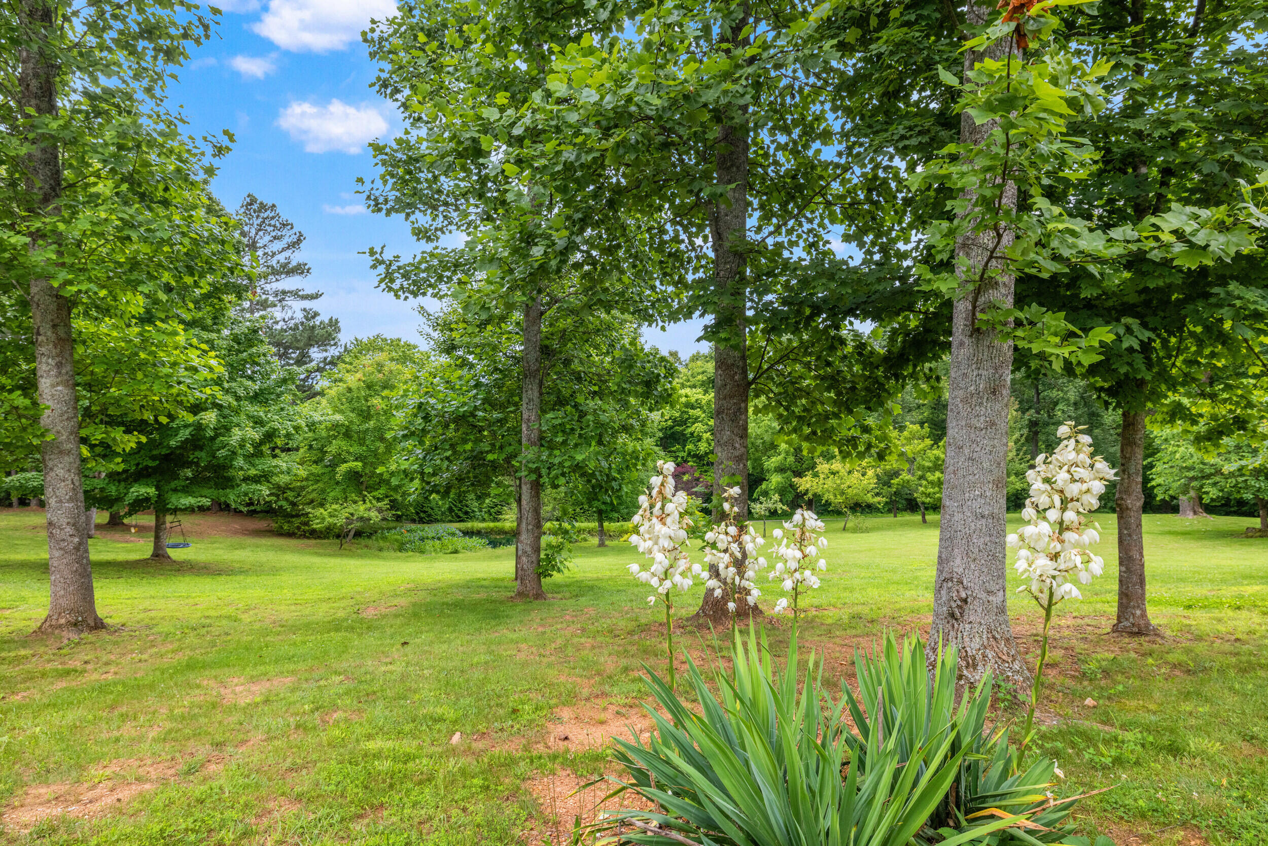 1564 High Ridge Road Middleburg, KY 42541 - Photo 17 of 79 55_1h4a4723