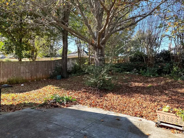 a view of a yard with plants and trees