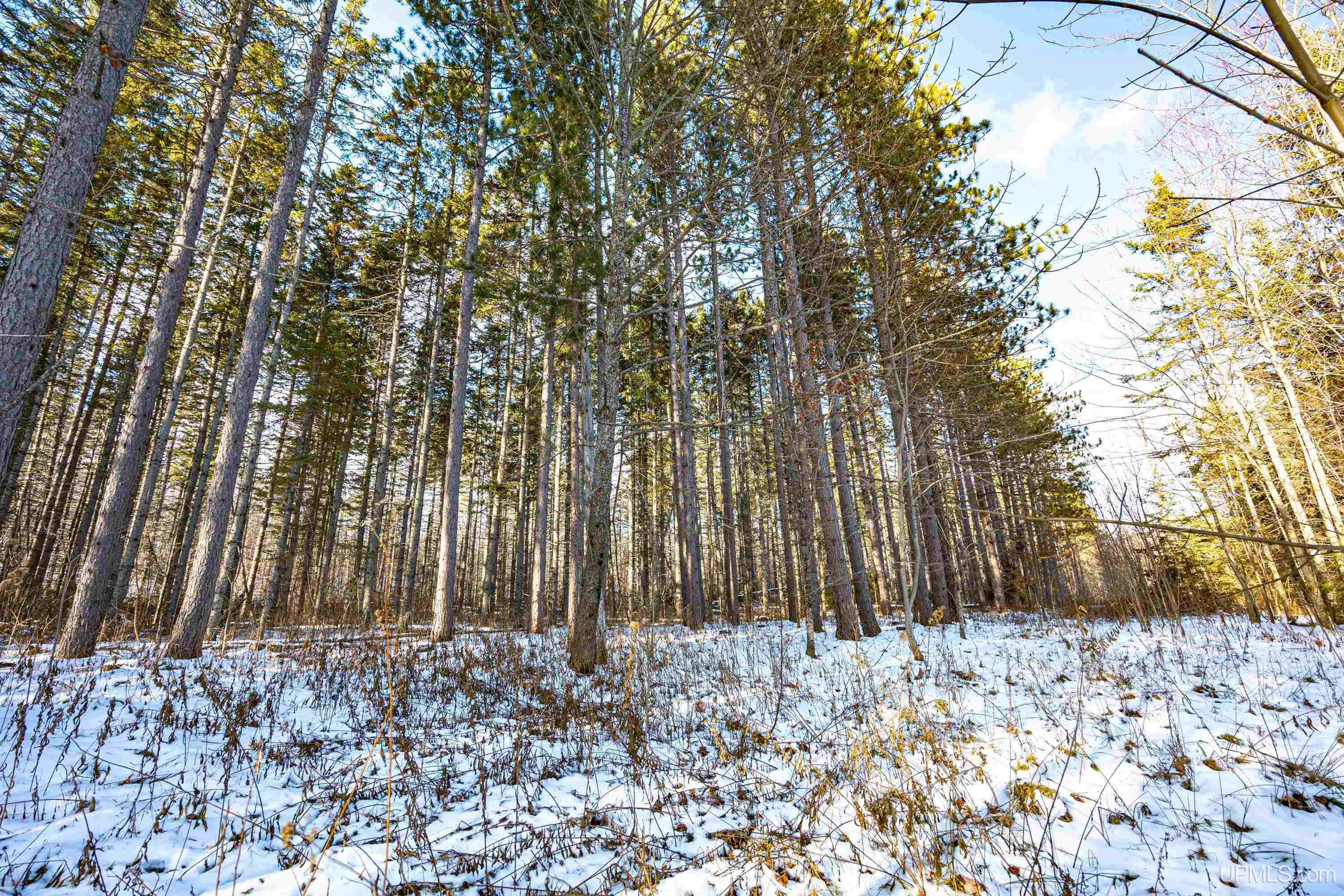 Tbd Lehtola Road Chassell, MI 49916 - Photo 49 of 59 Gallery Image 49