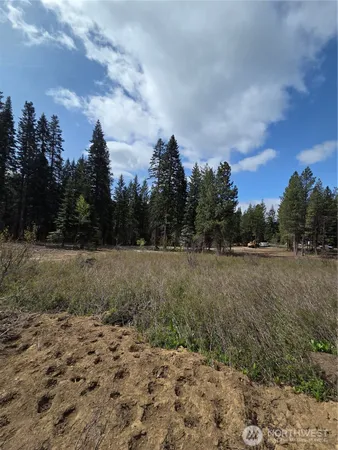 $249,999 | 5 Double O Road, Ronald, WA 98940