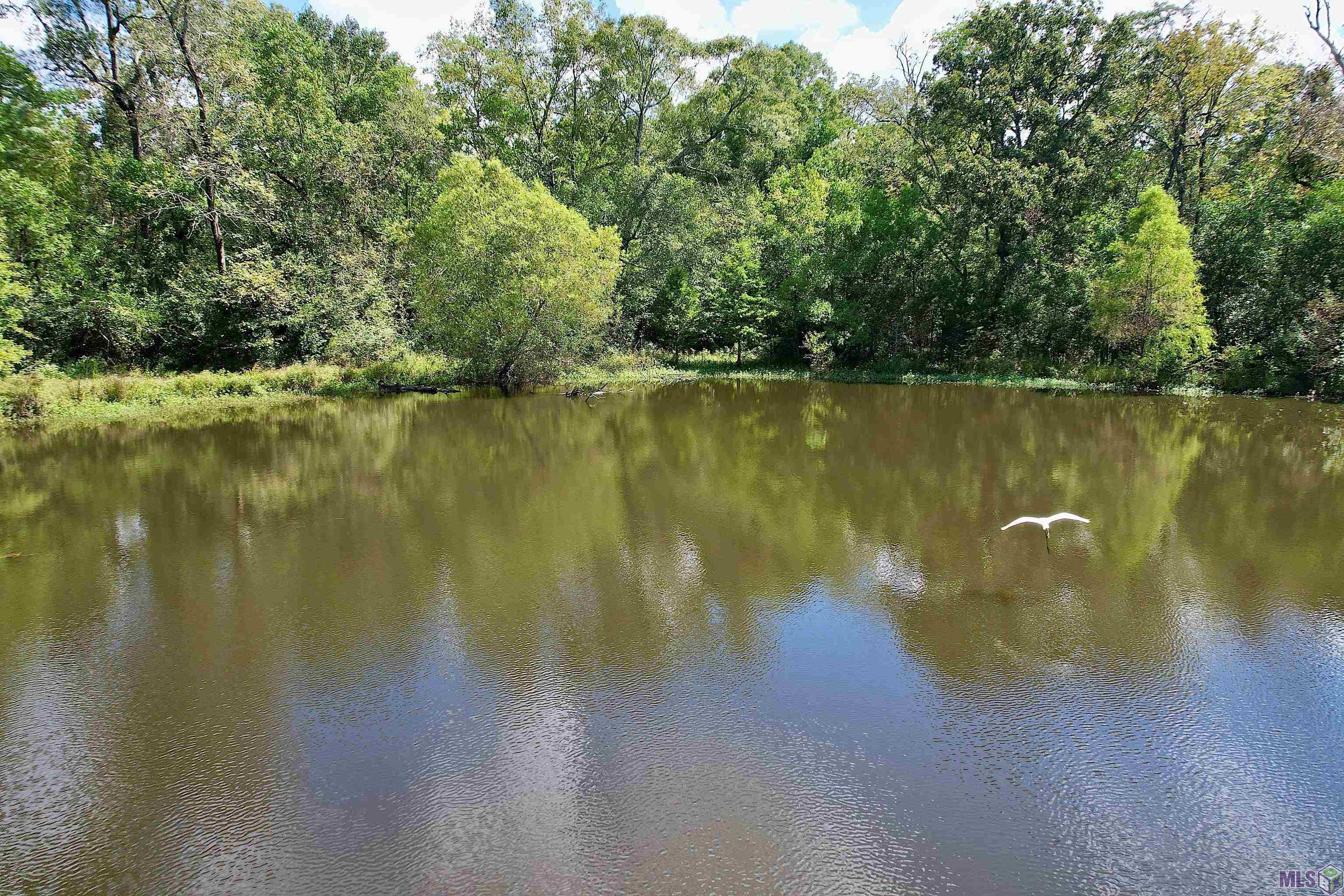 11072 Blackwater Road Baker, LA 70714 - Photo 5 of 35