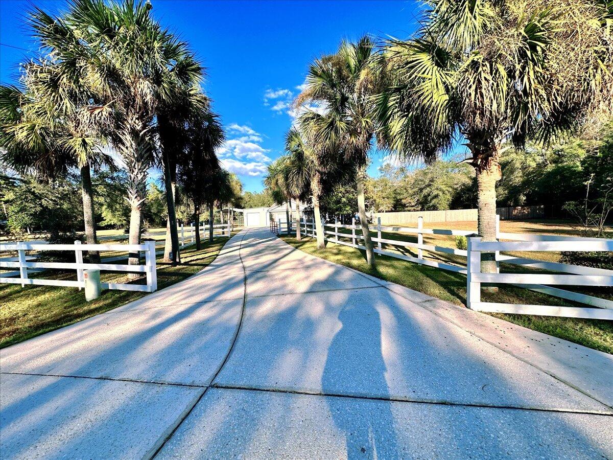 208 Hinote Road DeFuniak Springs, FL 32433 - Photo 10 of 49 a view of a swimming pool with a lawn chairs under palm trees