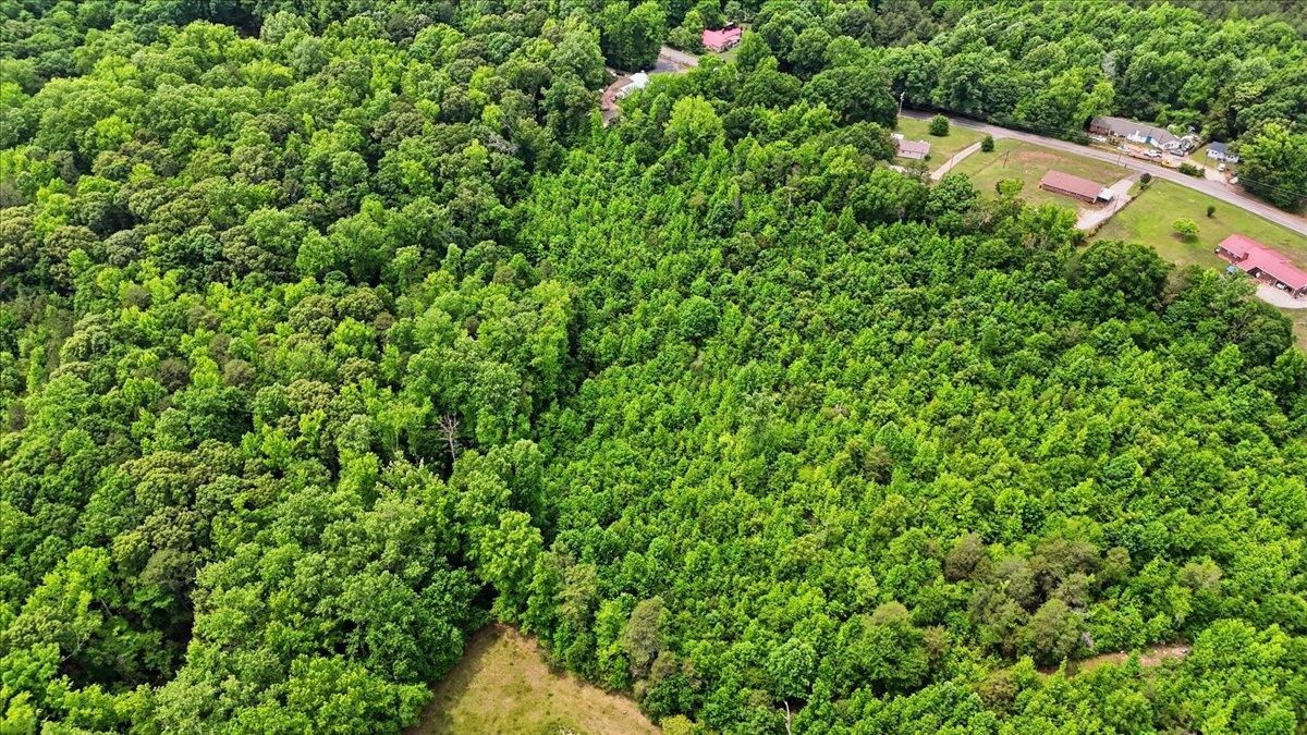 0 Woodville Road Pelzer, SC 29669 - Photo 3 of 12