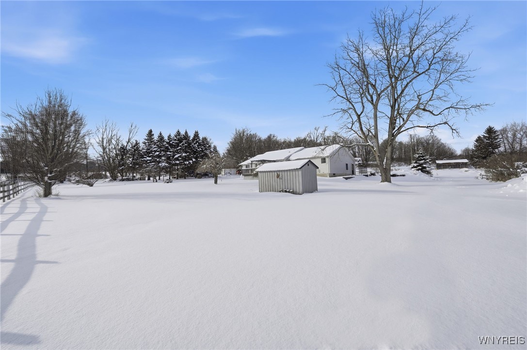 10259 Warner Gulf Road Sardinia, NY 14080 - Photo 28 of 34 Backyard View
