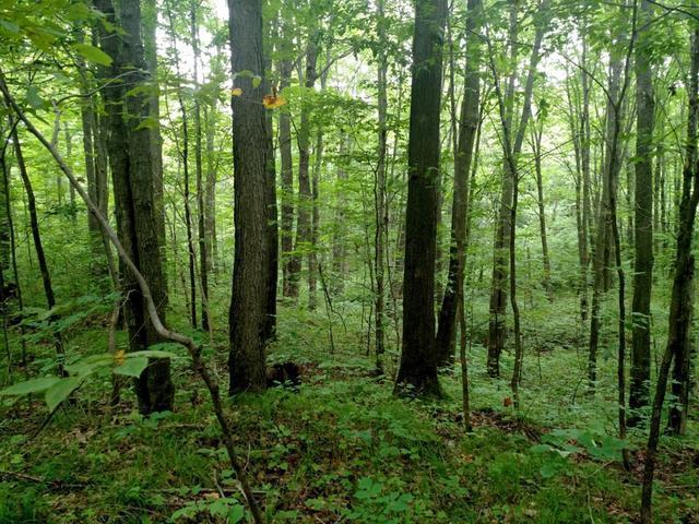 W4028 Clausen Road Prentice, WI 54556 - Photo 16 of 20 Gallery Image 16