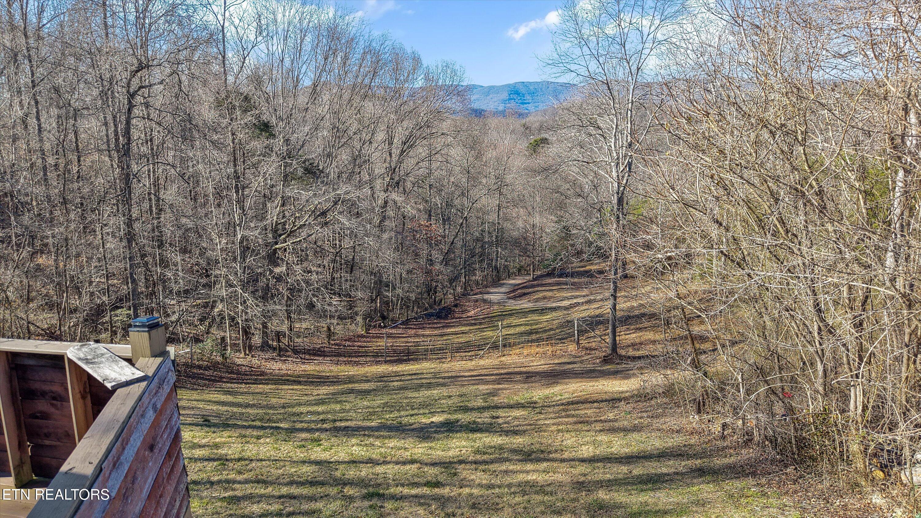 2719 Oak Grove Road Rocky Top, TN 37769 - Photo 22 of 39 Rolling slope