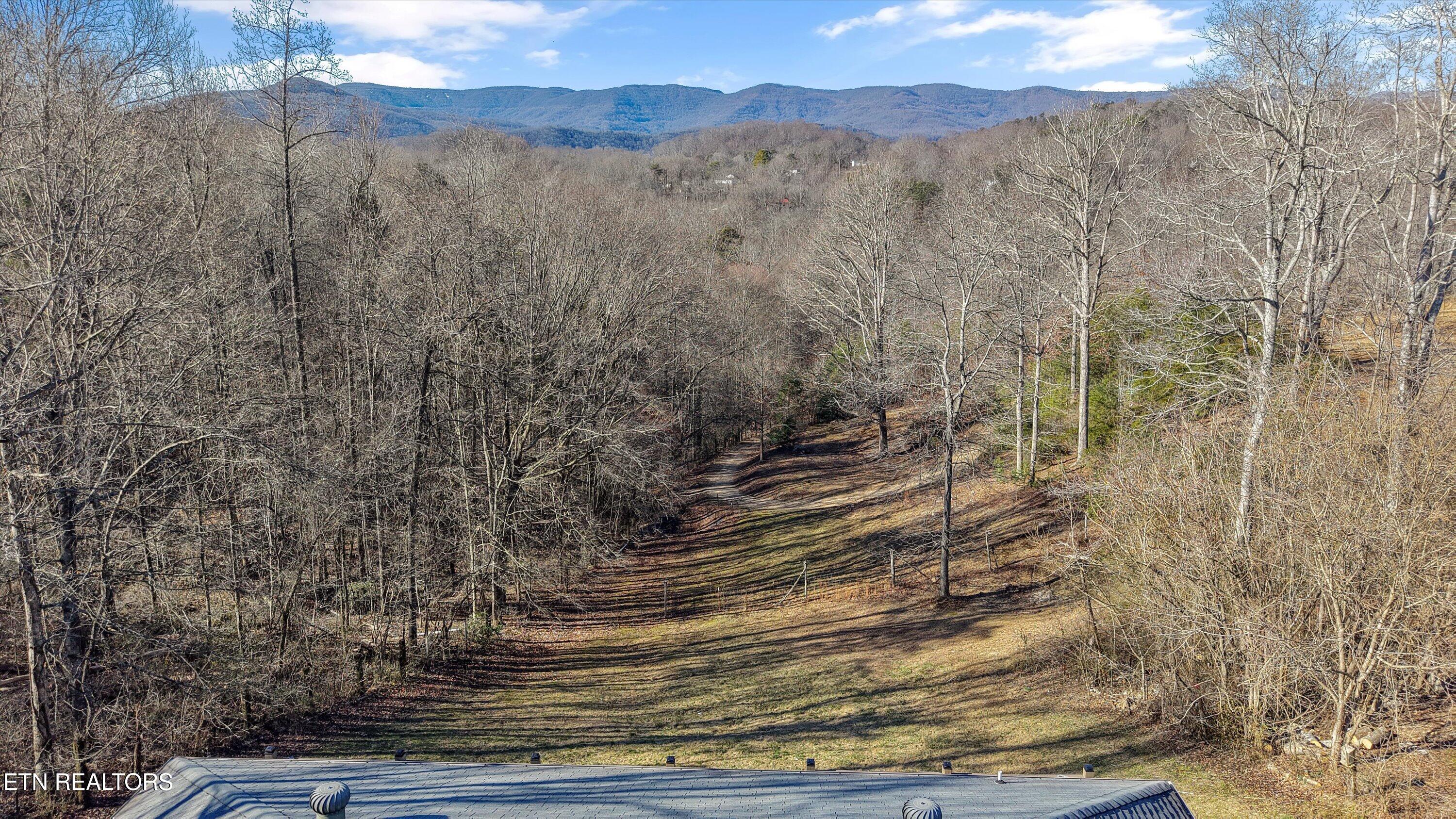 2719 Oak Grove Road Rocky Top, TN 37769 - Photo 23 of 39 ATV trails behind property