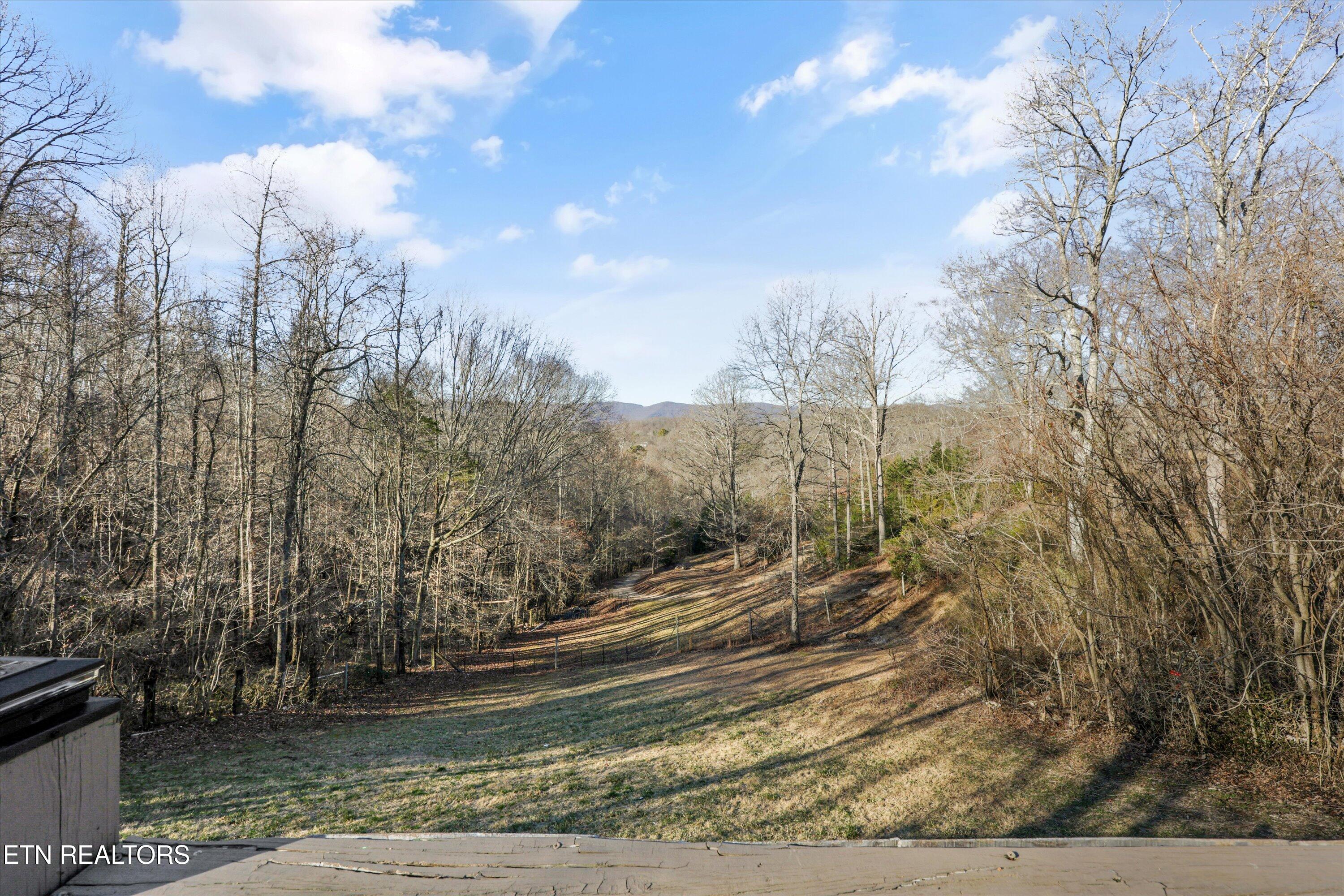2719 Oak Grove Road Rocky Top, TN 37769 - Photo 24 of 42 21-2719 Oak Grove Rd15 (1)