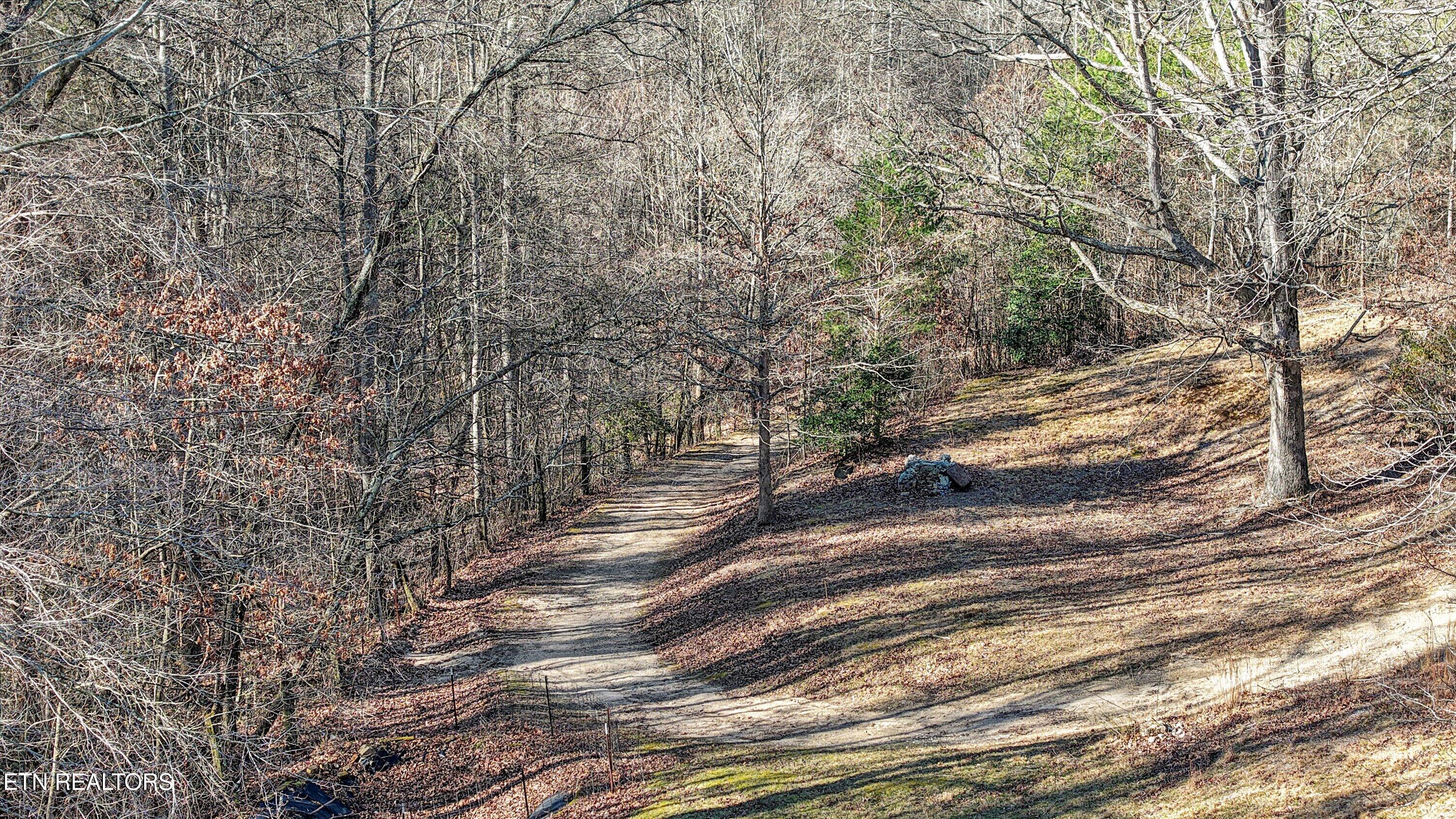2719 Oak Grove Road Rocky Top, TN 37769 - Photo 24 of 39 Close up of ATV trails