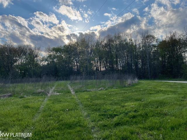 0 Fox Ridge Lane Allenton, MI 48002 - Photo 9 of 17