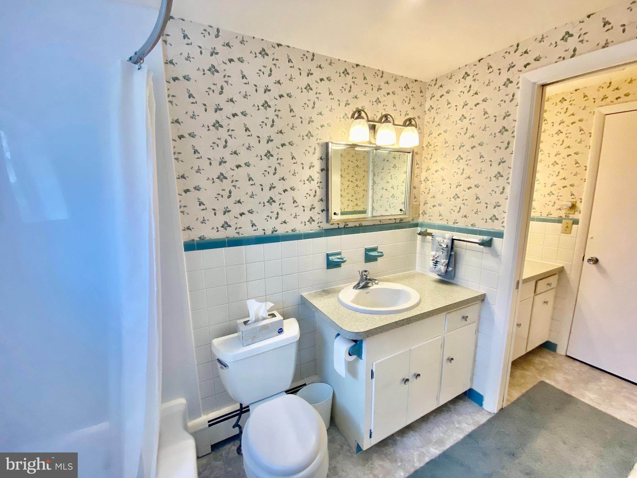 1574 County Line Road Bechtelsville, PA 19505 - Photo 28 of 36 Main Bathroom