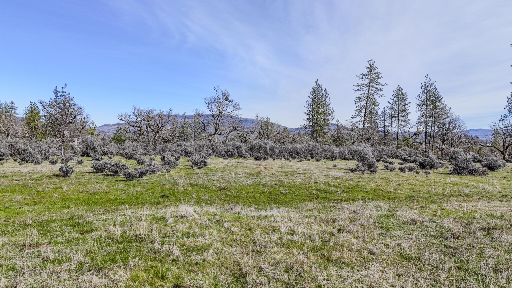 506 Greenleaf Drive Eagle Point, OR 97524 - Photo 27 of 38 DJI_20260227141153_0562_D-HDR