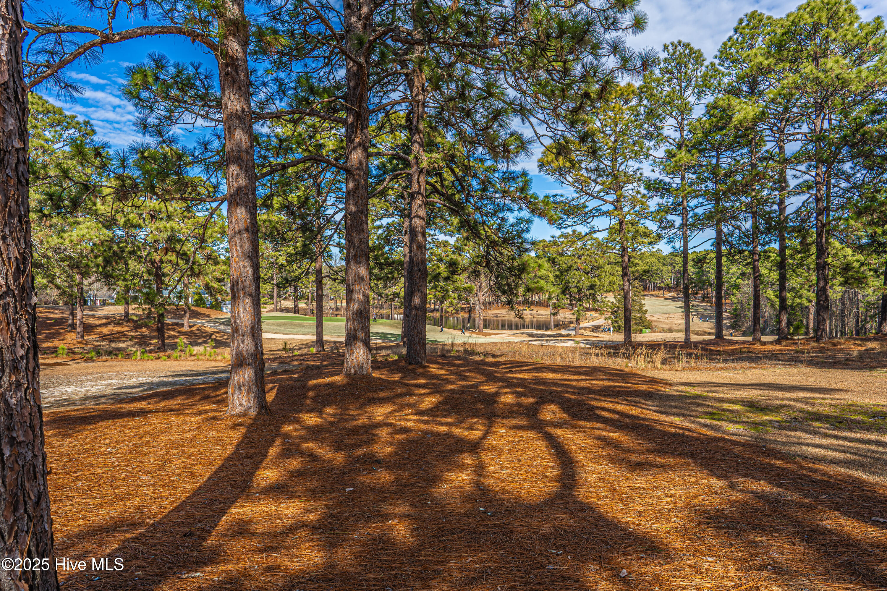 237 Knoll Road Southern Pines, NC 28387 - Photo 59 of 65 DSC02287