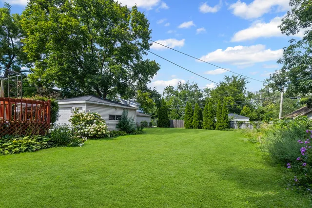 a view of a backyard with plants and large trees