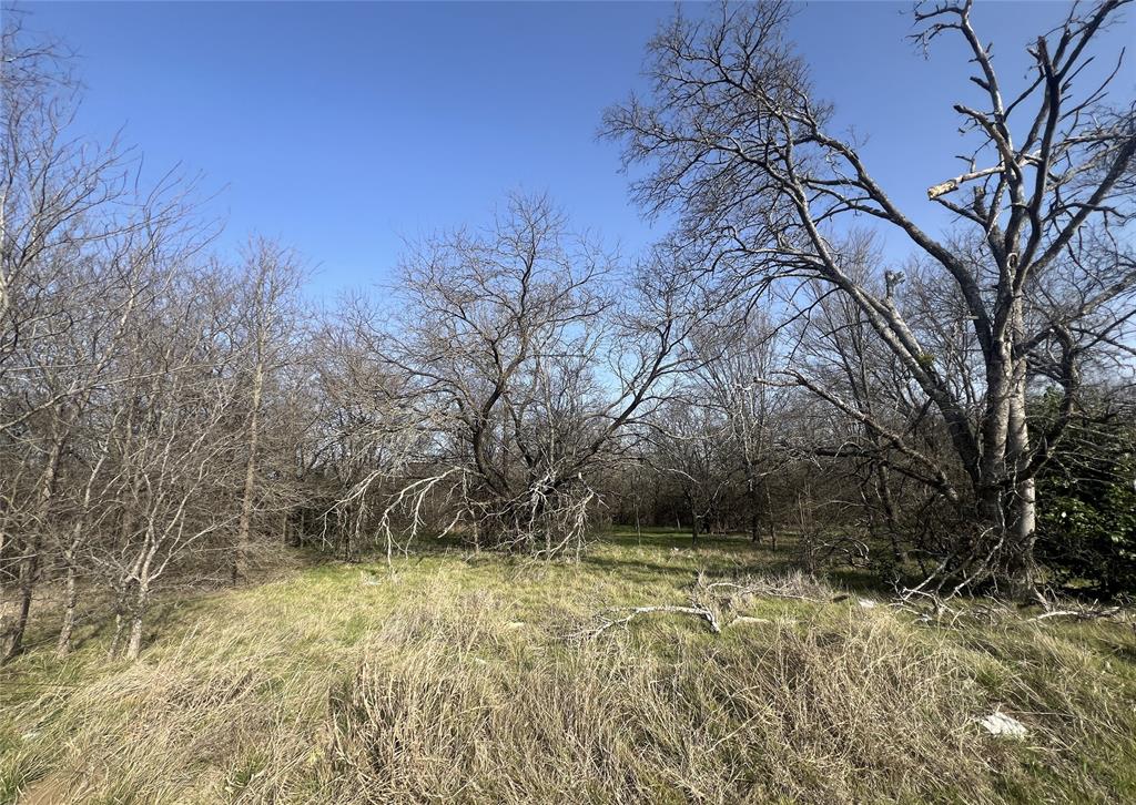 13700 Gholson Road Gholson, TX 76705 - Photo 2 of 8 a view of backyard of house