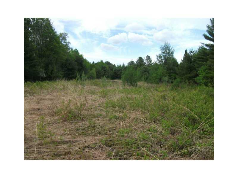 10 Mt Will Farm Road Bethel, ME 04217 - Photo 1 of 5 Land.