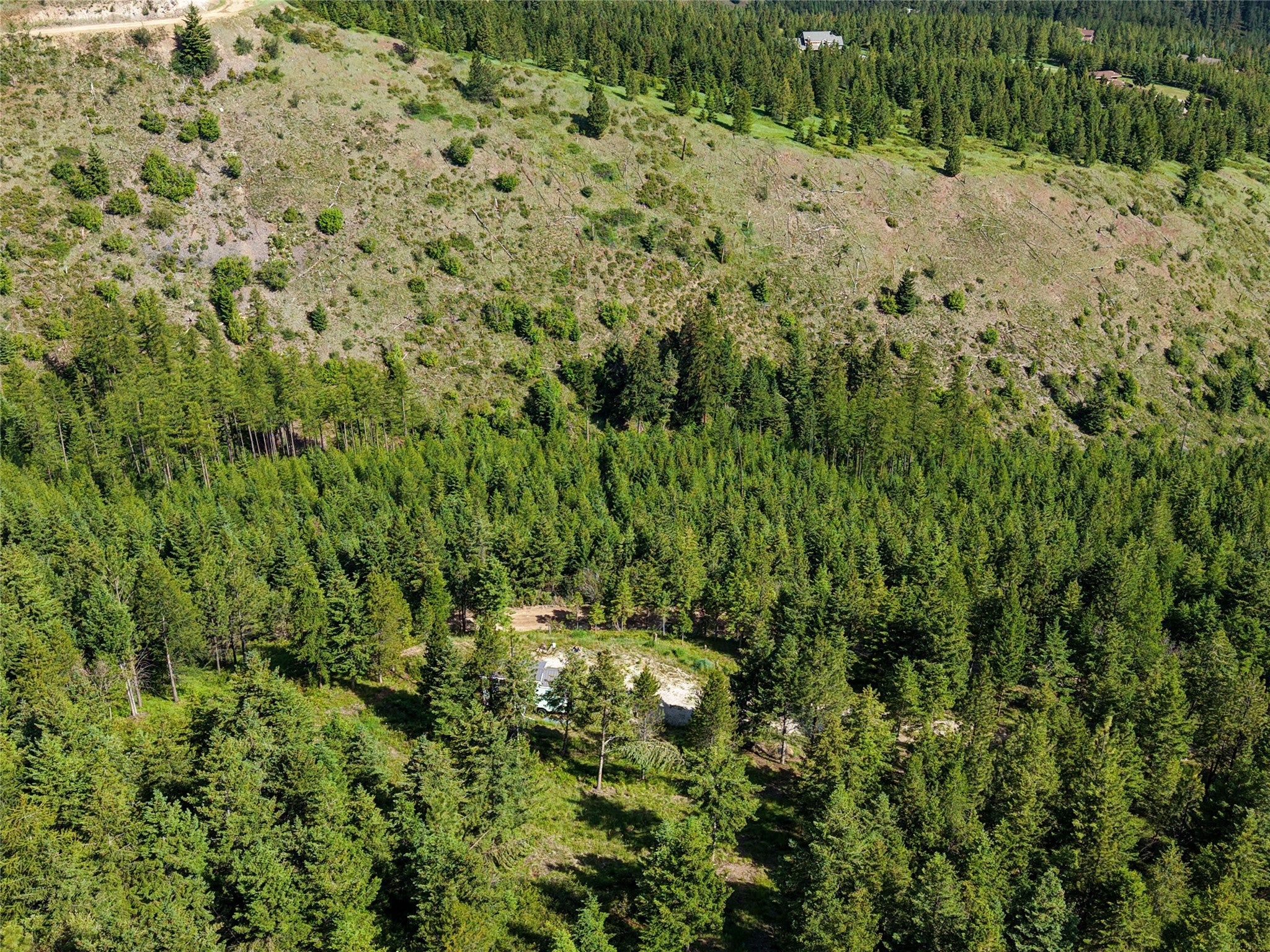 2398 Larch Camp Road Missoula, MT 59803 - Photo 9 of 32 Gallery Image 9