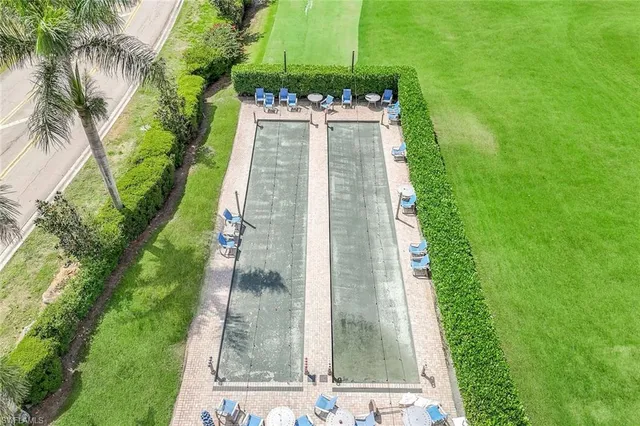 a view of a park with a tree