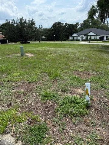 a view of outdoor space with garden and trees