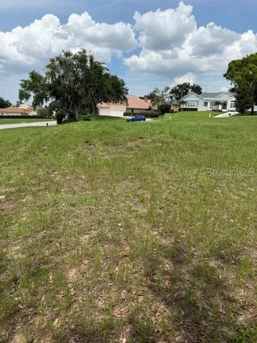 a view of a green yard