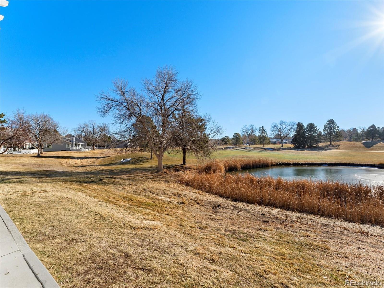 30 Canongate Lane Highlands Ranch, CO 80130 - Photo 42 of 43